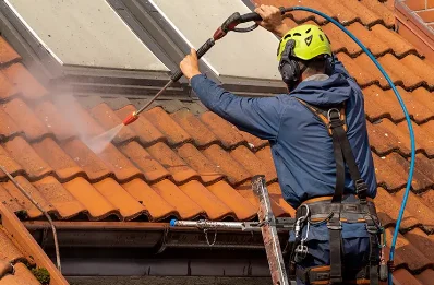 Démoussage et hydrofuge de toiture à Pizay